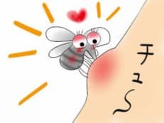 感度良好に掲載されていた画像
