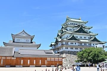 隊員日記「棚からぼたもち」の写真